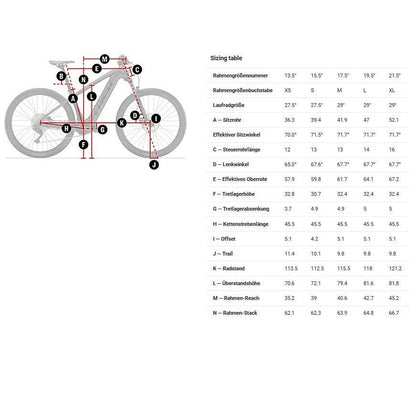 Trek MTB Elettrica - POWERFLY 4 Gen 4 625Wh - 2023 - Gloss Alpine / Gloss Lithium